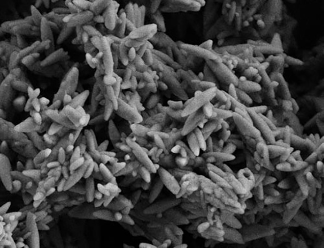 Activated precipitated calcium carbonate